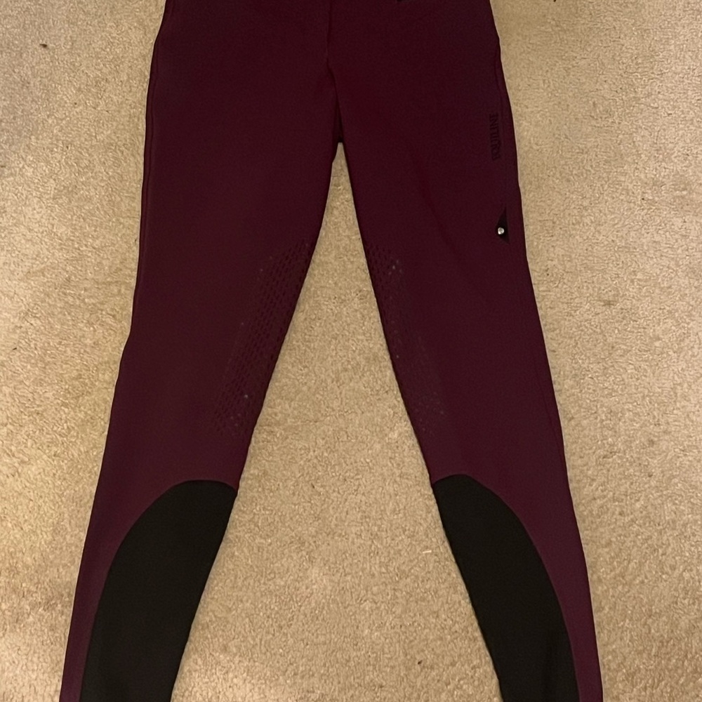 Equiline breeches us 24